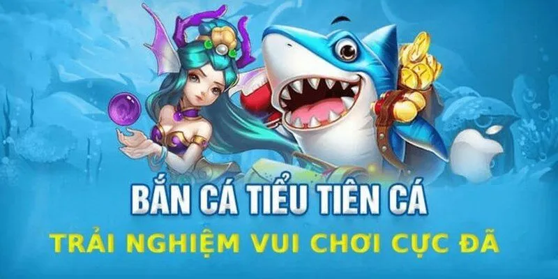Giới thiệu tổng quan về siêu phẩm hấp dẫn nhất Bắn Cá Tiểu Tiên Cá Giới thiệu tổng quan về siêu phẩm hấp dẫn nhất Bắn Cá Tiểu Tiên Cá