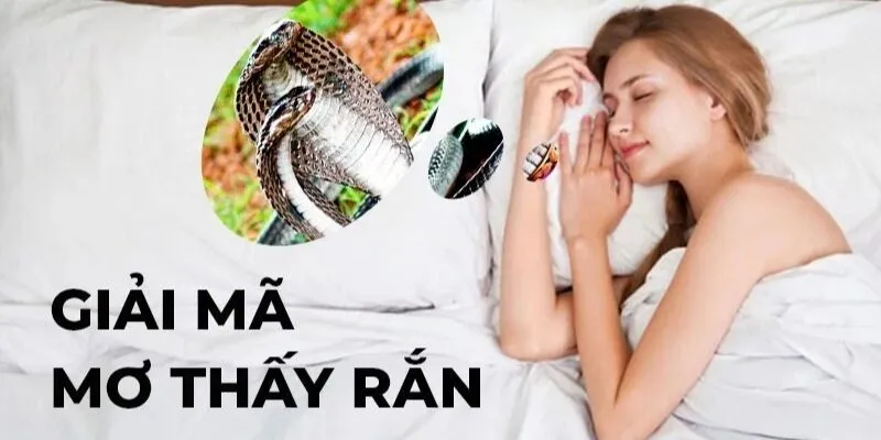Giải mã bí ẩn đằng sau giấc mơ Giải mã bí ẩn đằng sau giấc mơ